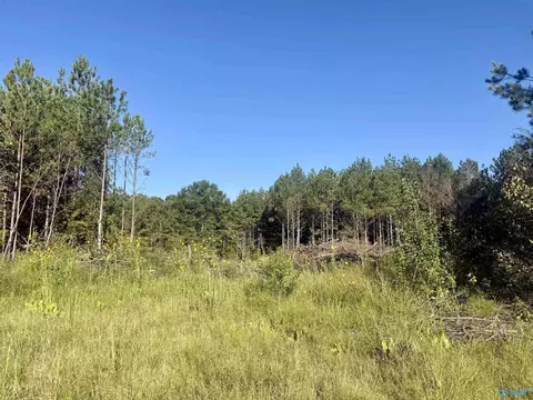 368 Jones Chapel Rd, Piedmont, AL 36272