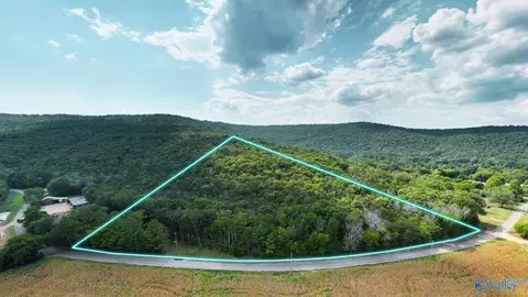 tbd County Rd 42, Hollywood, AL 35752