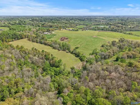 121 144 Acres Sumners Rd, Horton, AL 35980