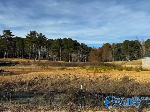 1180 Cherokee Ridge Dr, Cherokee Ridge, AL 35175