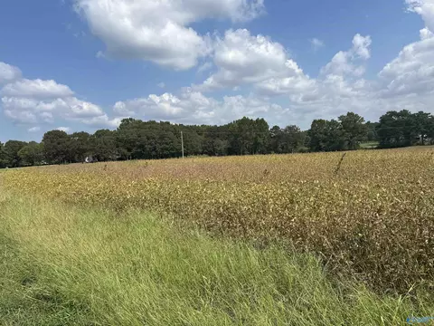 1929 N Carlisle St, Albertville, AL 35951