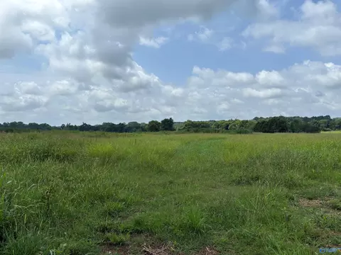 199 Acres Buddy Williamson Rd, New Market, AL 35761