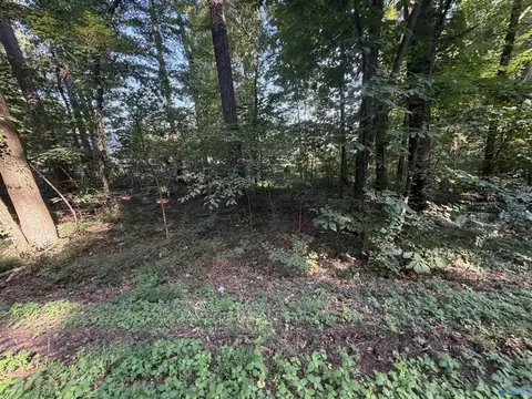 lot38 Creek Pathbrowns Valley Rd, Guntersville, AL 35976