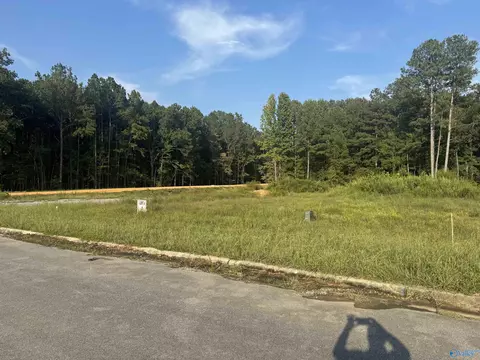 201 Vera Ln, Rainbow City, AL 35906