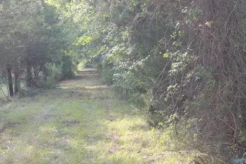 39 Acres Culver Rd, Falkville, AL 35622