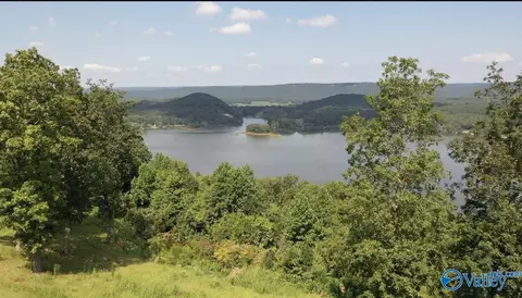 lot301 County Road 1022 # 301, Cedar Bluff, AL 35959