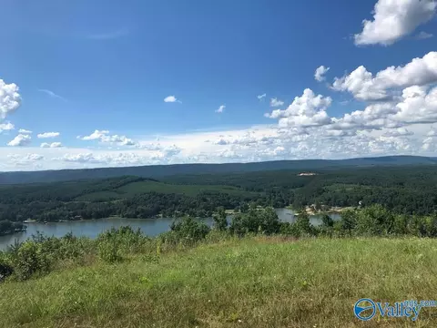 lot221 County Road 1022 # 221, Cedar Bluff, AL 35959
