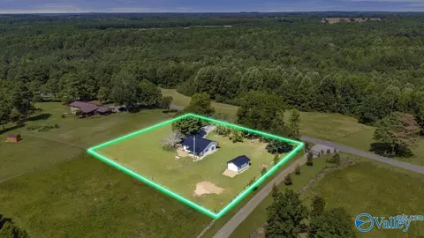 Other - 2366 County Road 49, Section, AL 35771 photo 4 of 16