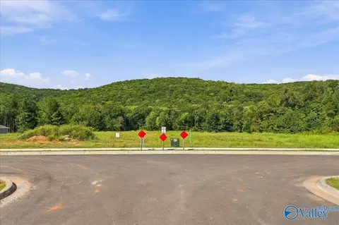 6170 Feather Way, Owens Cross Roads, AL 35763