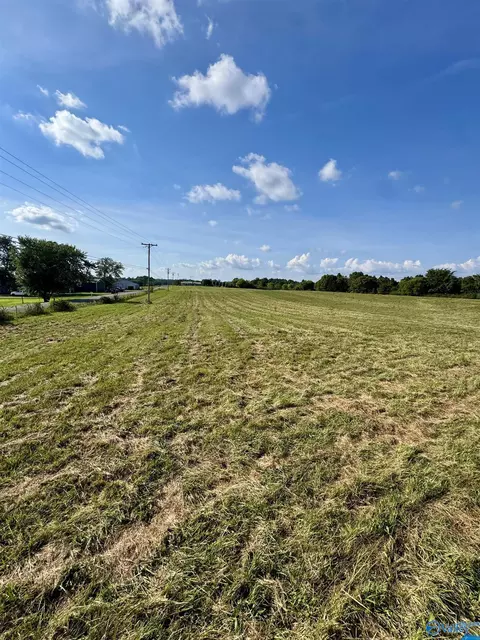 10 77 County Road 48, Section, AL 35771 photo 2