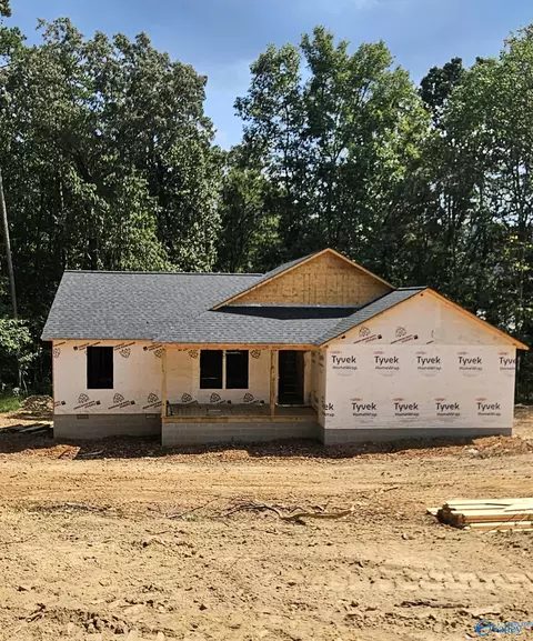 6563 Kelsee Ln, Fort Payne, AL 35967