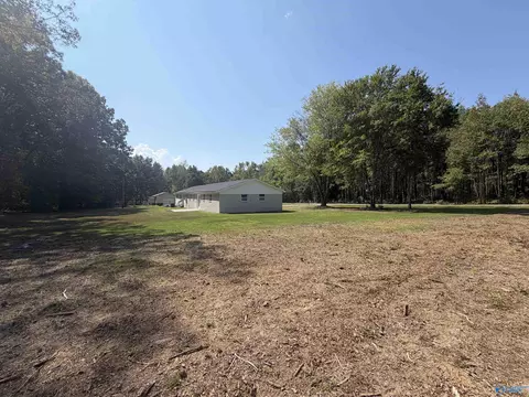 Exterior - 111 County Road 459, Trinity, AL 35673 photo 7 of 11