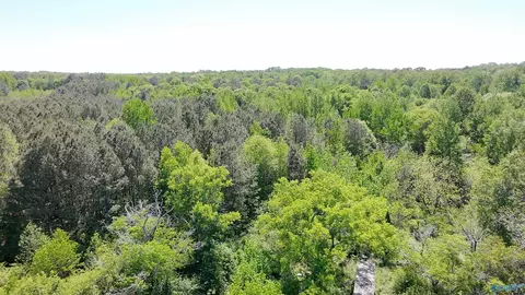 4049 Bethsaida Rd, Boaz, AL 35957