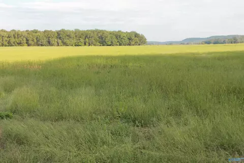 40 Acres Huckaby Bridge Rd, Falkville, AL 35622