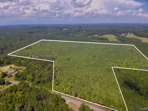 103 Acres County Road 20, Double Springs, AL 35553