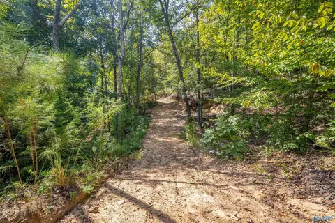 Other - 1595 Mohawk Cliff Rd, Ohatchee, AL 36271 photo 17 of 21