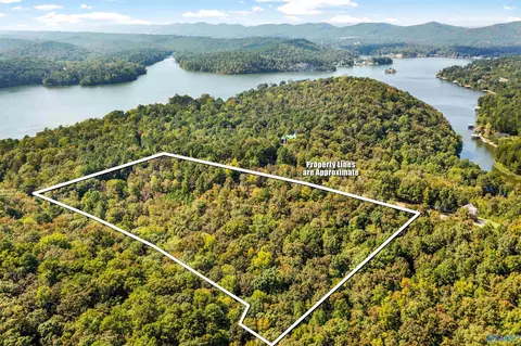 Other - 1595 Mohawk Cliff Rd, Ohatchee, AL 36271 photo 21 of 21