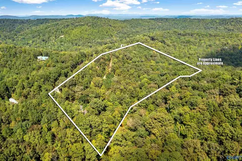 Other - 1595 Mohawk Cliff Rd, Ohatchee, AL 36271 photo 3 of 21