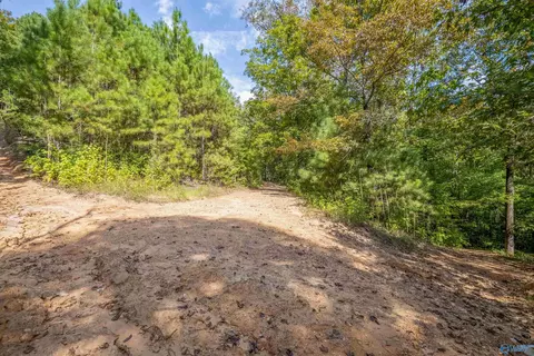 Other - 1595 Mohawk Cliff Rd, Ohatchee, AL 36271 photo 16 of 21
