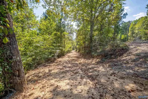 Other - 1595 Mohawk Cliff Rd, Ohatchee, AL 36271 photo 15 of 21