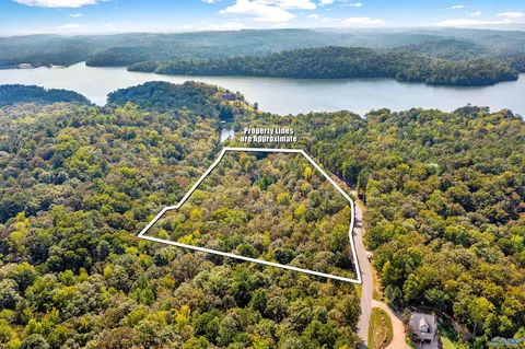 Other - 1595 Mohawk Cliff Rd, Ohatchee, AL 36271 photo 20 of 21