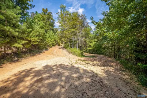 Other - 1595 Mohawk Cliff Rd, Ohatchee, AL 36271 photo 14 of 21