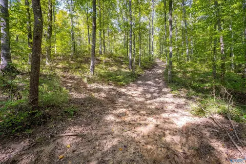 Other - 1595 Mohawk Cliff Rd, Ohatchee, AL 36271 photo 18 of 21