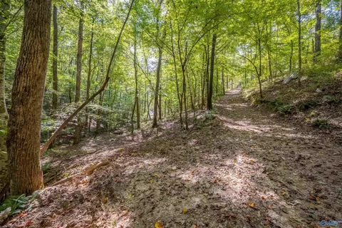Other - 1595 Mohawk Cliff Rd, Ohatchee, AL 36271 photo 19 of 21