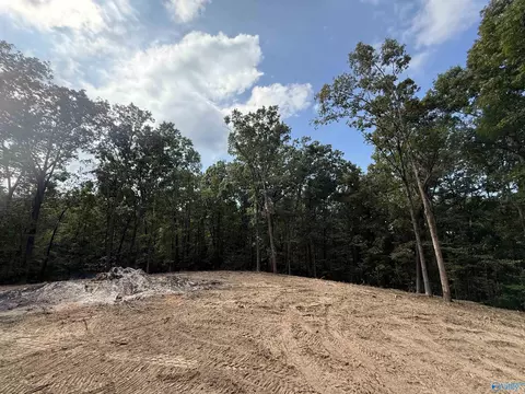 7 Acres, Guntersville, AL 35976