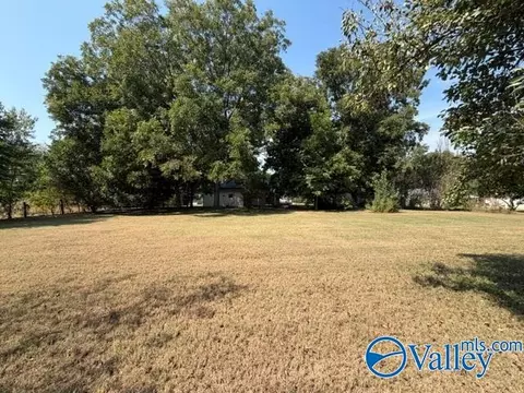 Exterior - 29668 3rd Ave, Ardmore, AL 35739 photo 5 of 7