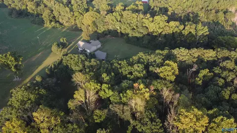 8339 Nixon Chapel Rd, Horton, AL 35980