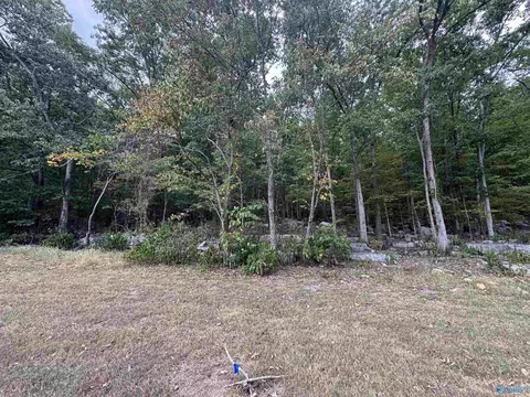 3117 Haver Hill Ln, Owens Cross Roads, AL 35763