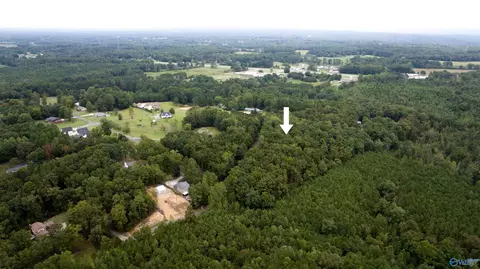4 18 Acres Paula Reed Rd, Mountainboro, AL 35956