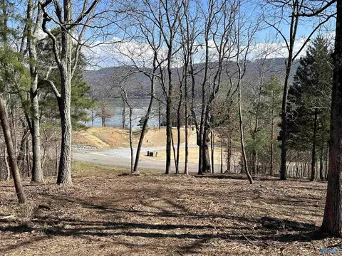 lot149 Lookout Mountain Dr, Scottsboro, AL 35769