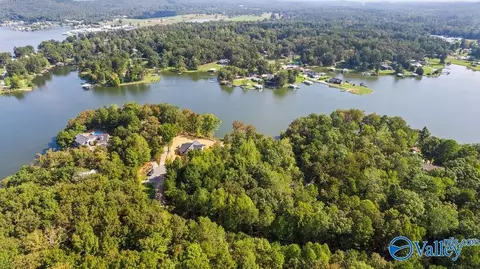 130 Mohawk Ct, Ohatchee, AL 36271 photo 6