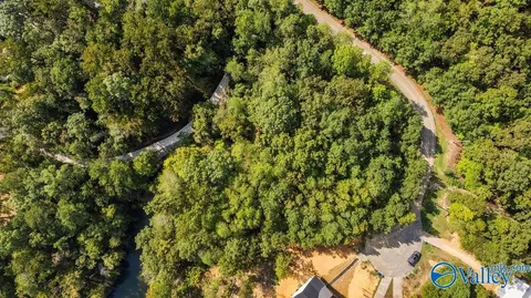 130 Mohawk Ct, Ohatchee, AL 36271 photo 12