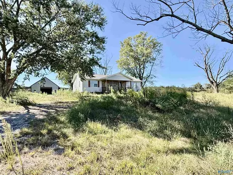 254 Mount Sinai Rd, Horton, AL 35980