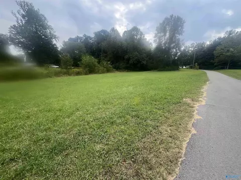 lot1 Junkins Rd, Guntersville, AL 35976