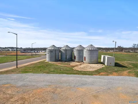 Exterior - 234 Haystack Dr, Madison, AL 35757 photo 11 of 13