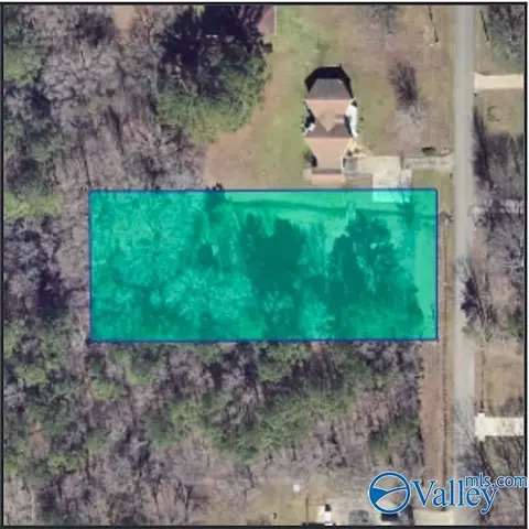 95 Acres Dawn Dr, Toney, AL 35773