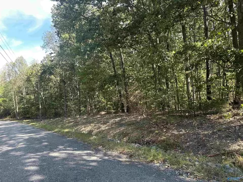 3 Acres County Road 1025, Fort Payne, AL 35967
