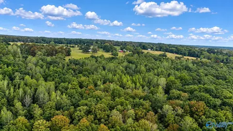 14 Ac Wallace Ave, Fort Payne, AL 35967