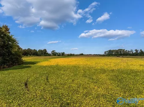 6 Acres County Road 337, Section, AL 35771 photo 8