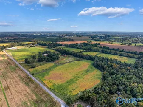 6 Acres County Road 337, Section, AL 35771 photo 5