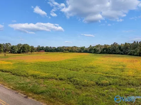 6 Acres County Road 337, Section, AL 35771 photo 7