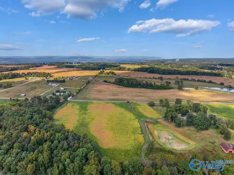 6 Acres County Road 337, Section, AL 35771 photo 9