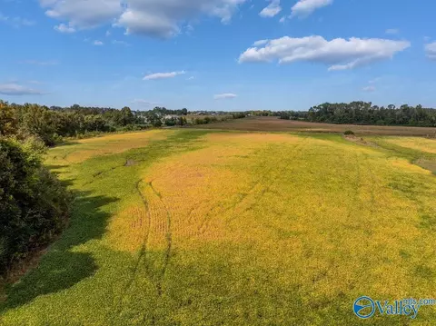 6 Acres County Road 337, Section, AL 35771 photo 10