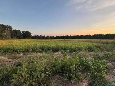 6 Acres County Road 337, Section, AL 35771 photo 3