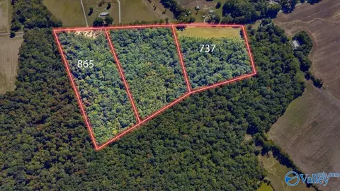737 Old Winchester Rd, New Market, AL 36761