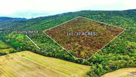 37 County Road 54, Stevenson, AL 35772